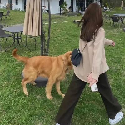 为你绽放 在线观看