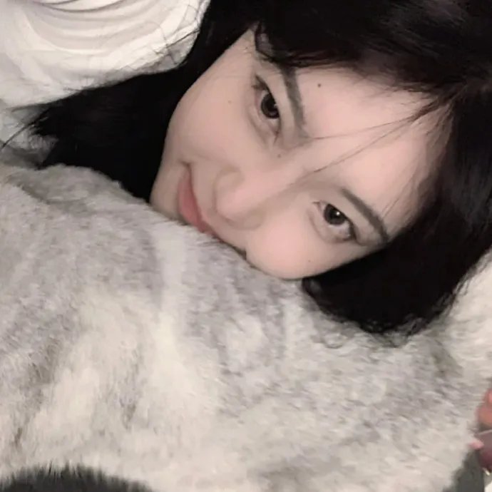 风流公子花弄蝶 在线观看